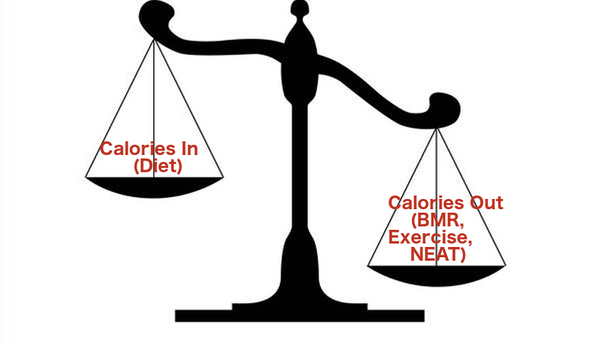 Calories in vs. calories out: a balance scale